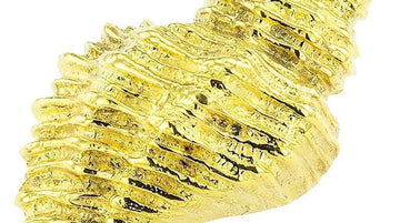 Conch Diamond Yellow Gold Brooch